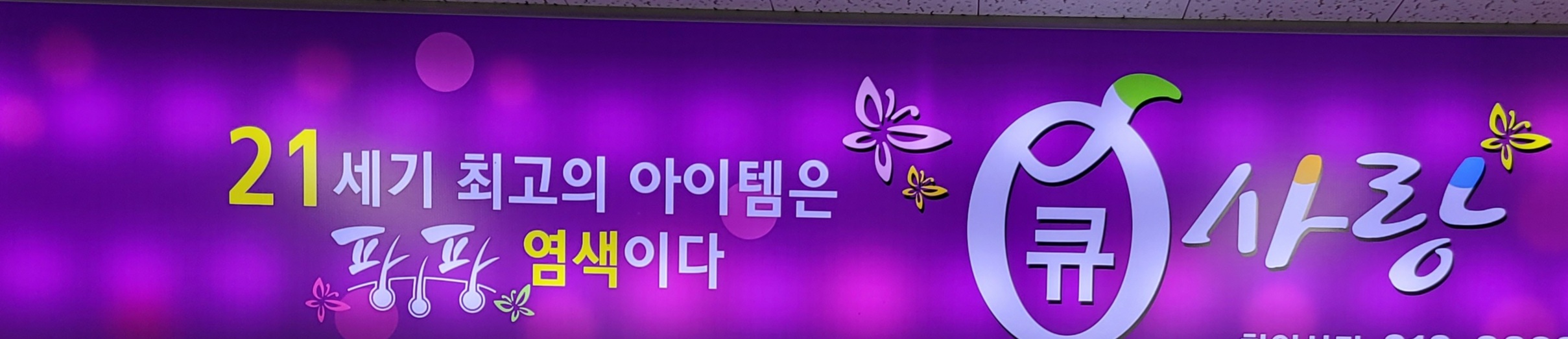 큐사랑 소피아헤어스토리
