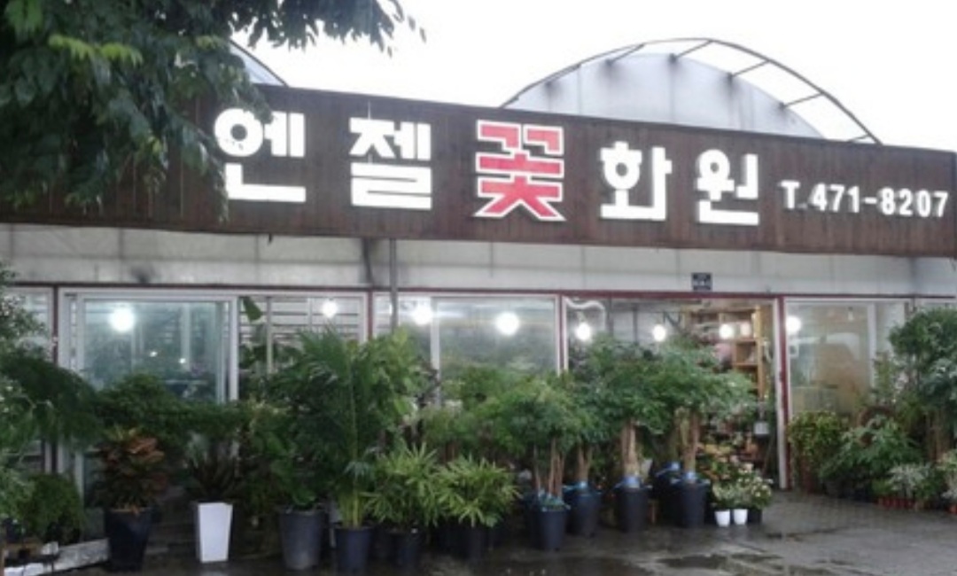 엔젤화원