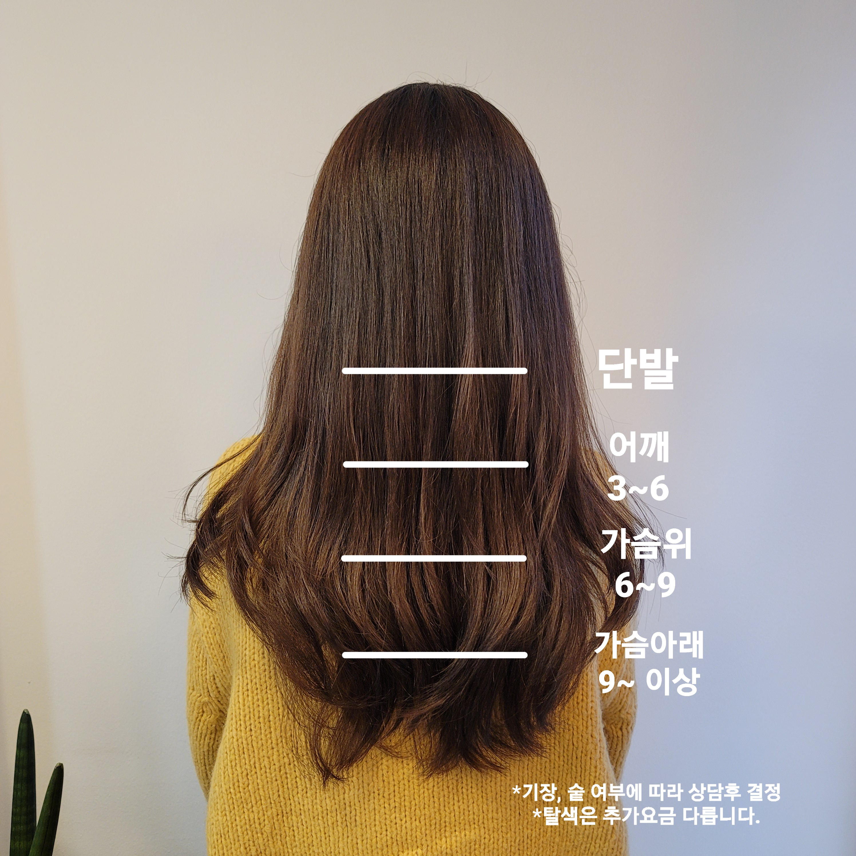살롱디홍
