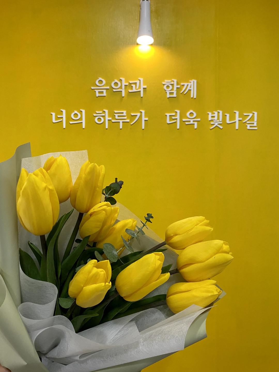 리틀뮤지션음악학원