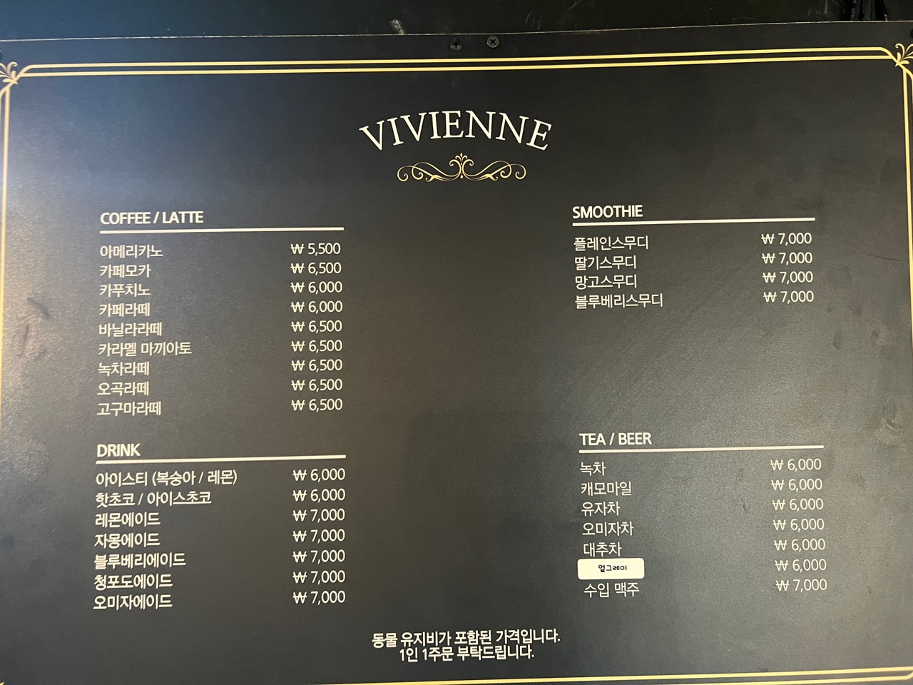 파충류카페 강릉점