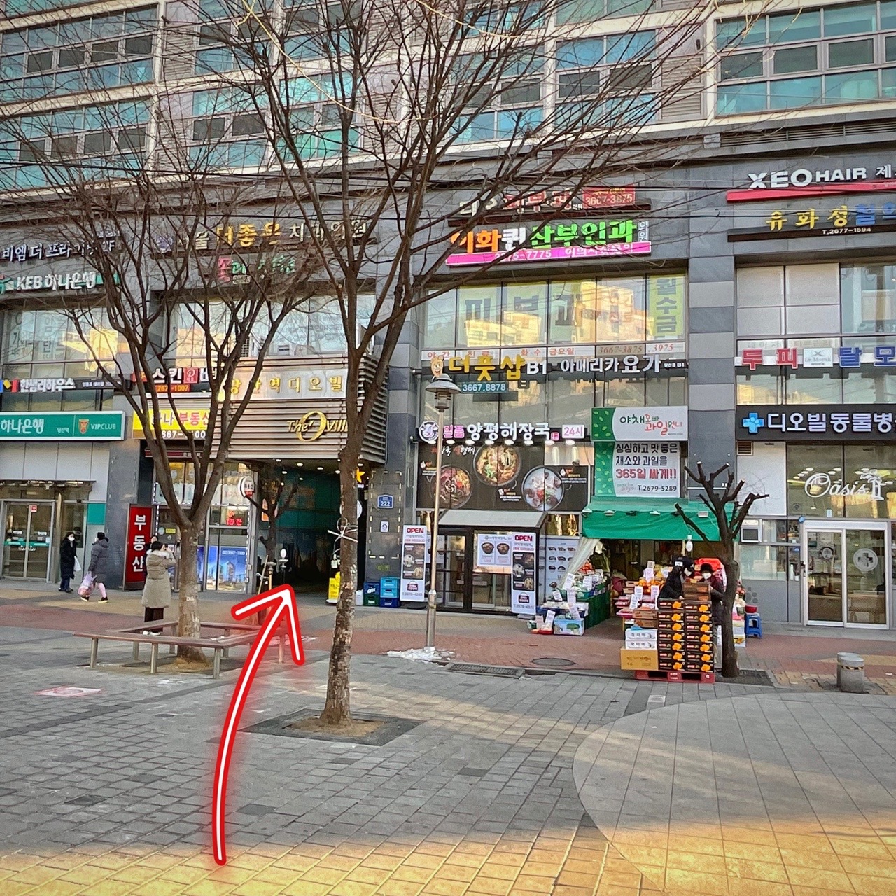 닥터모락 당산점 대표 이미지