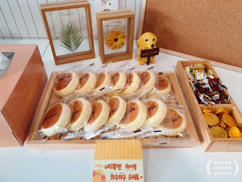 업체사진