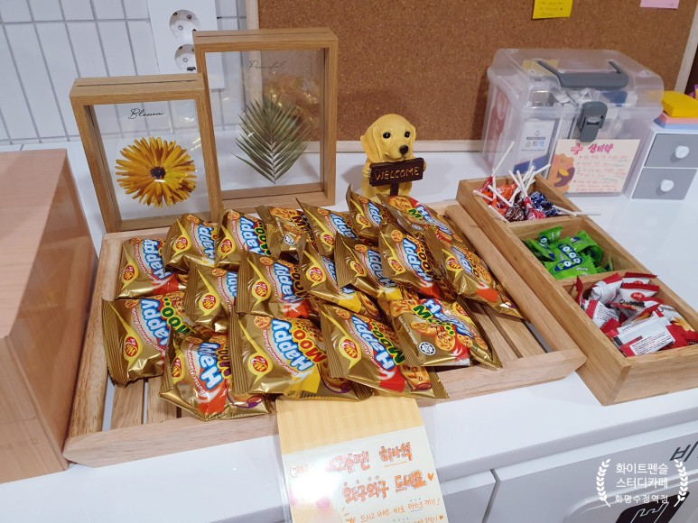 업체사진