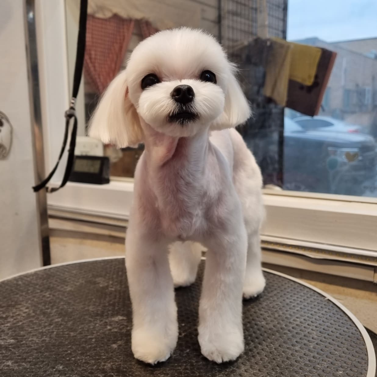 유스타그루밍 대표 이미지