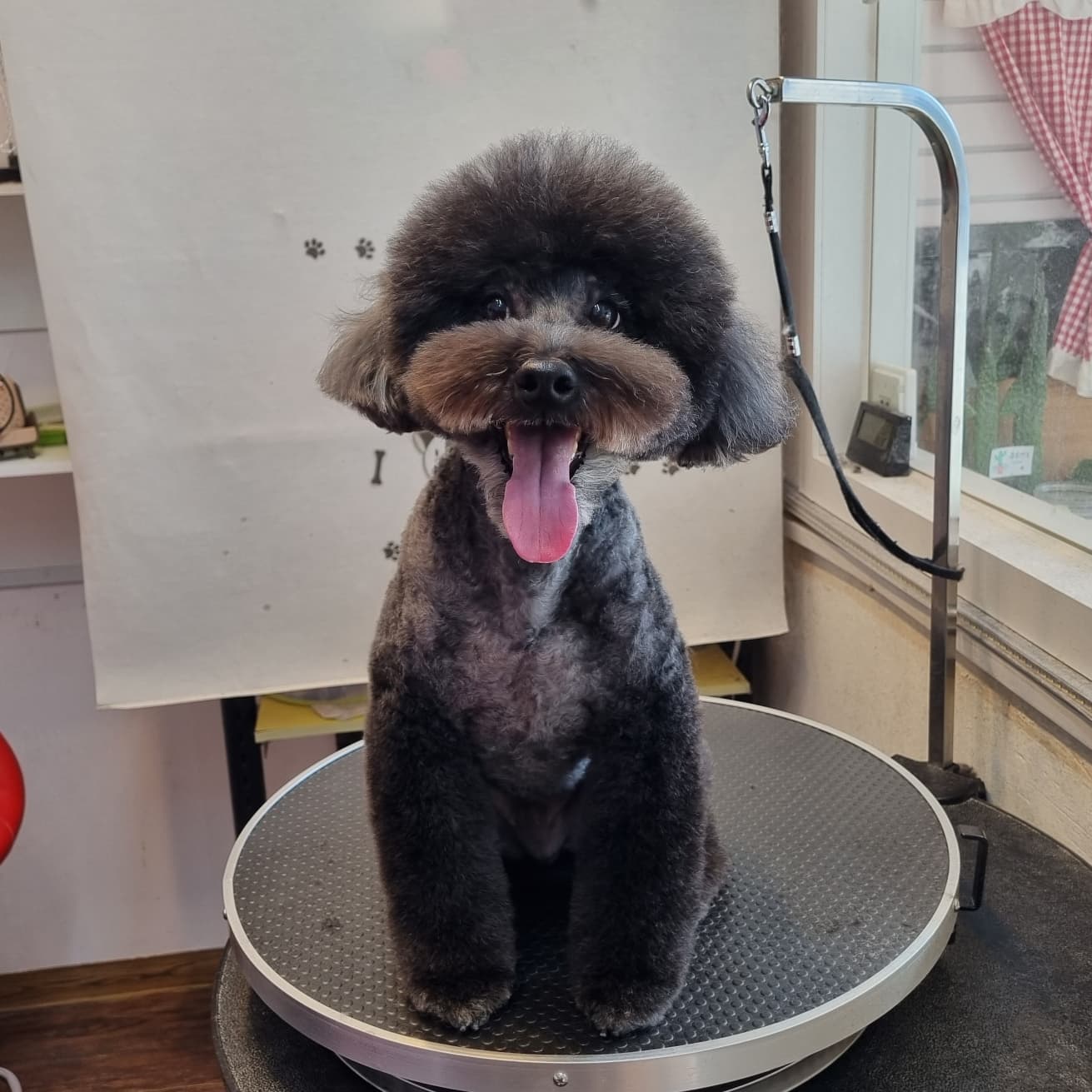 유스타그루밍 대표 이미지