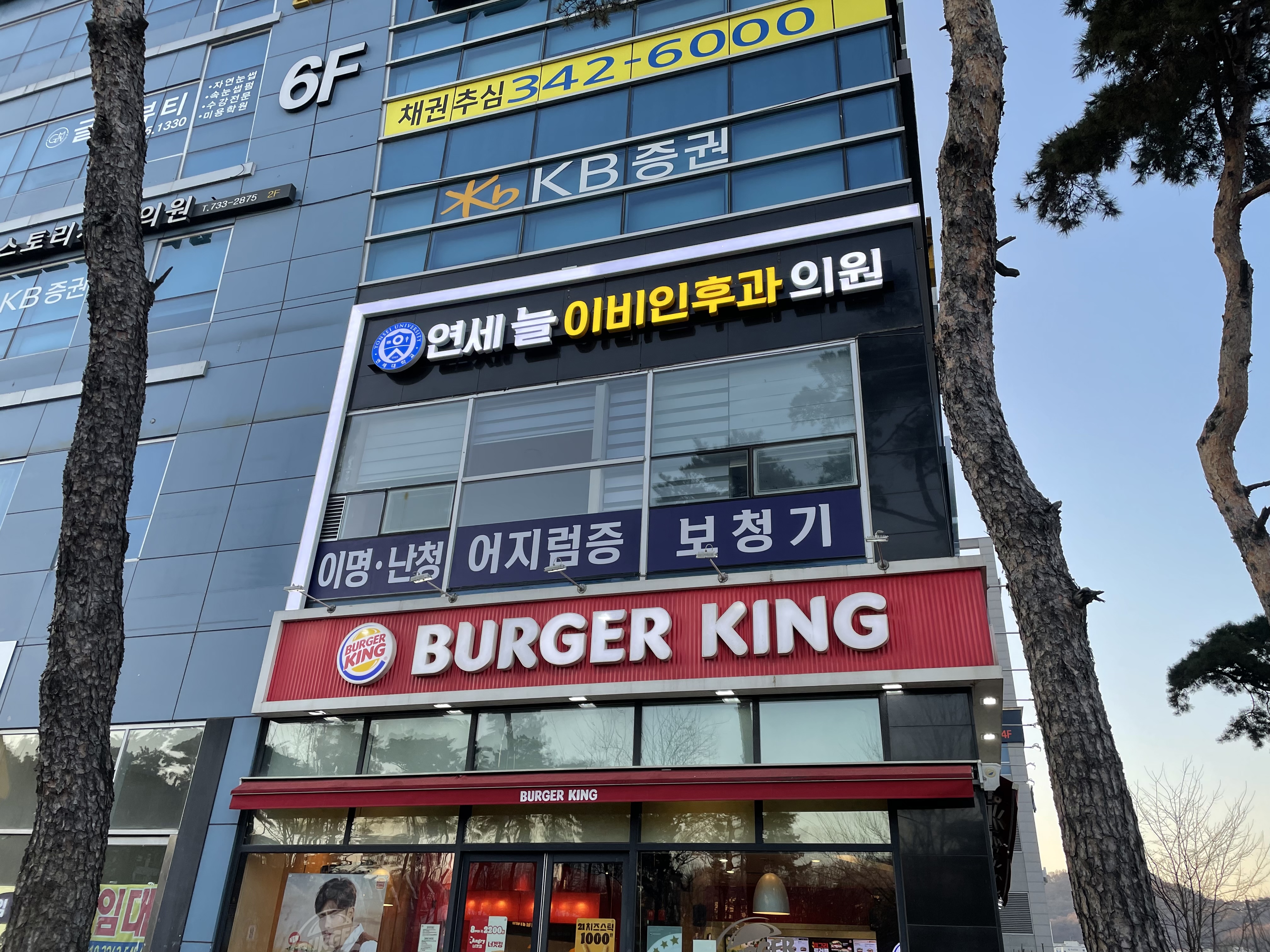 연세늘내과이비인후과의원