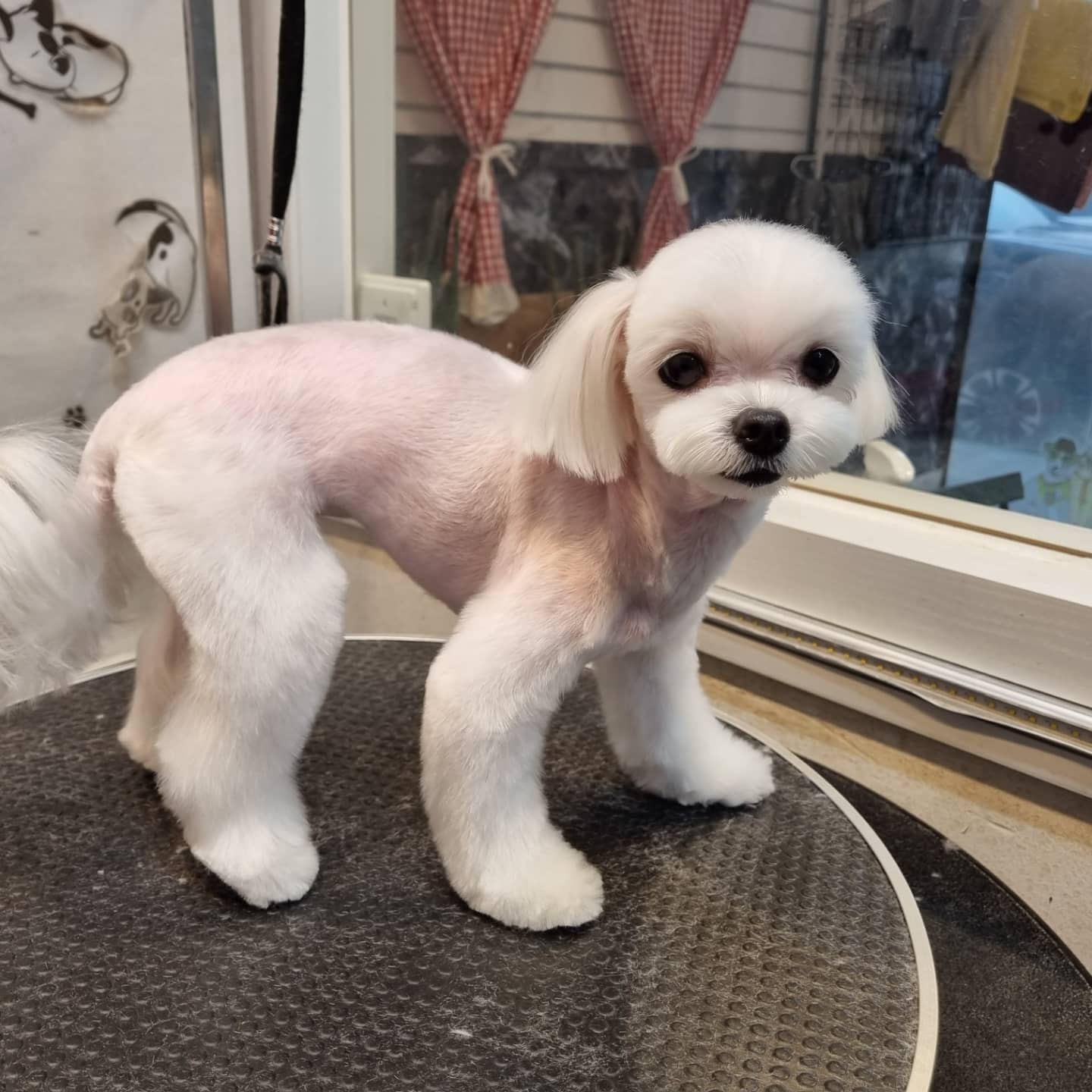 유스타그루밍 대표 이미지