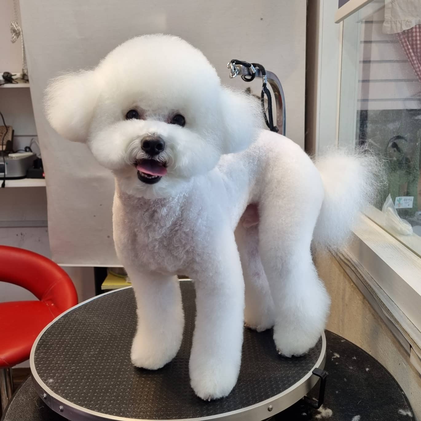 유스타그루밍 대표 이미지