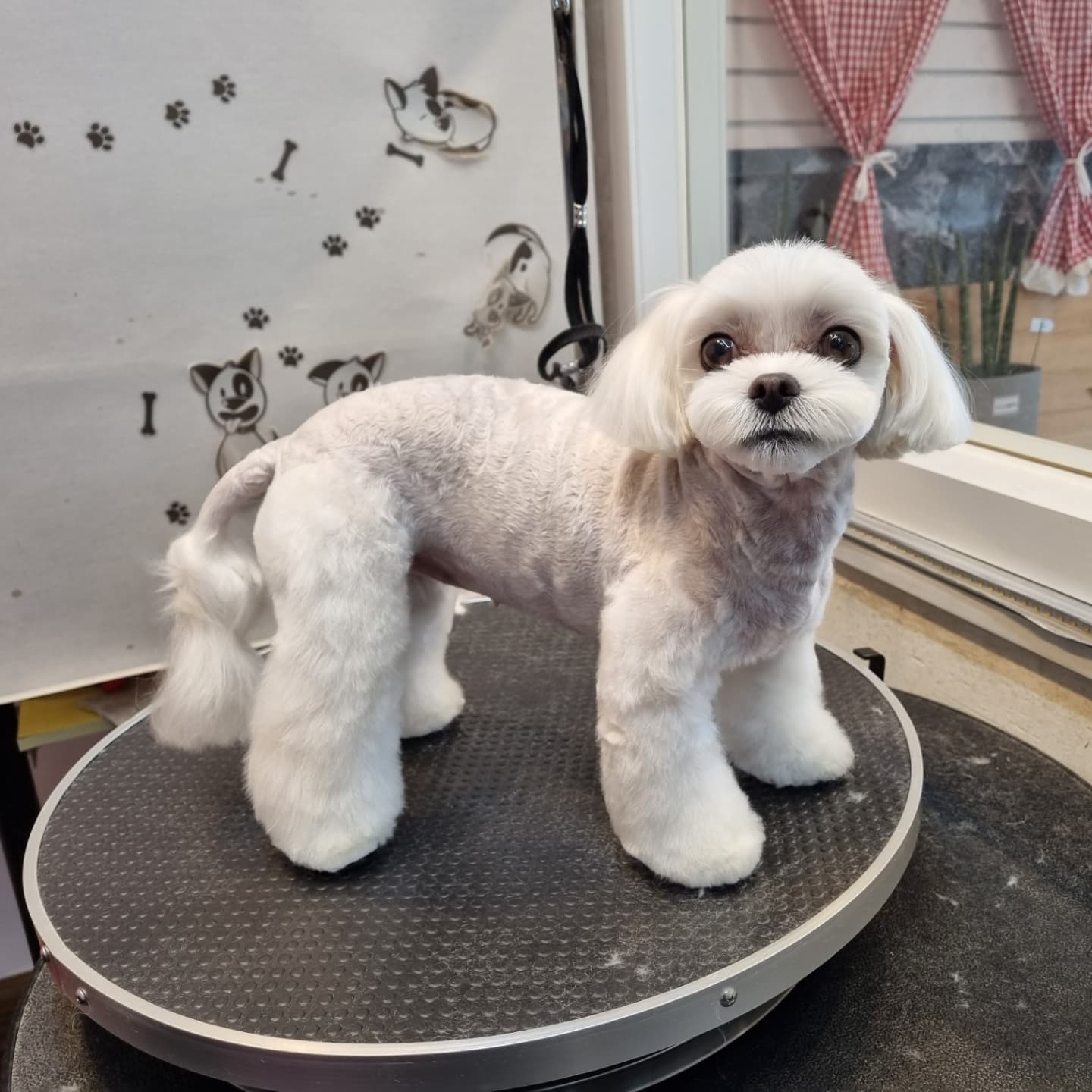 유스타그루밍 대표 이미지