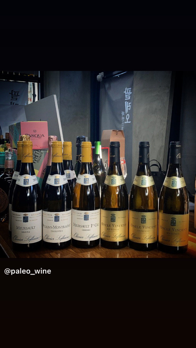 팔레오 와인스토리