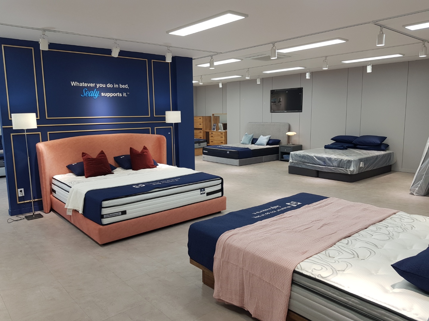 씰리침대 춘천점 대표 이미지