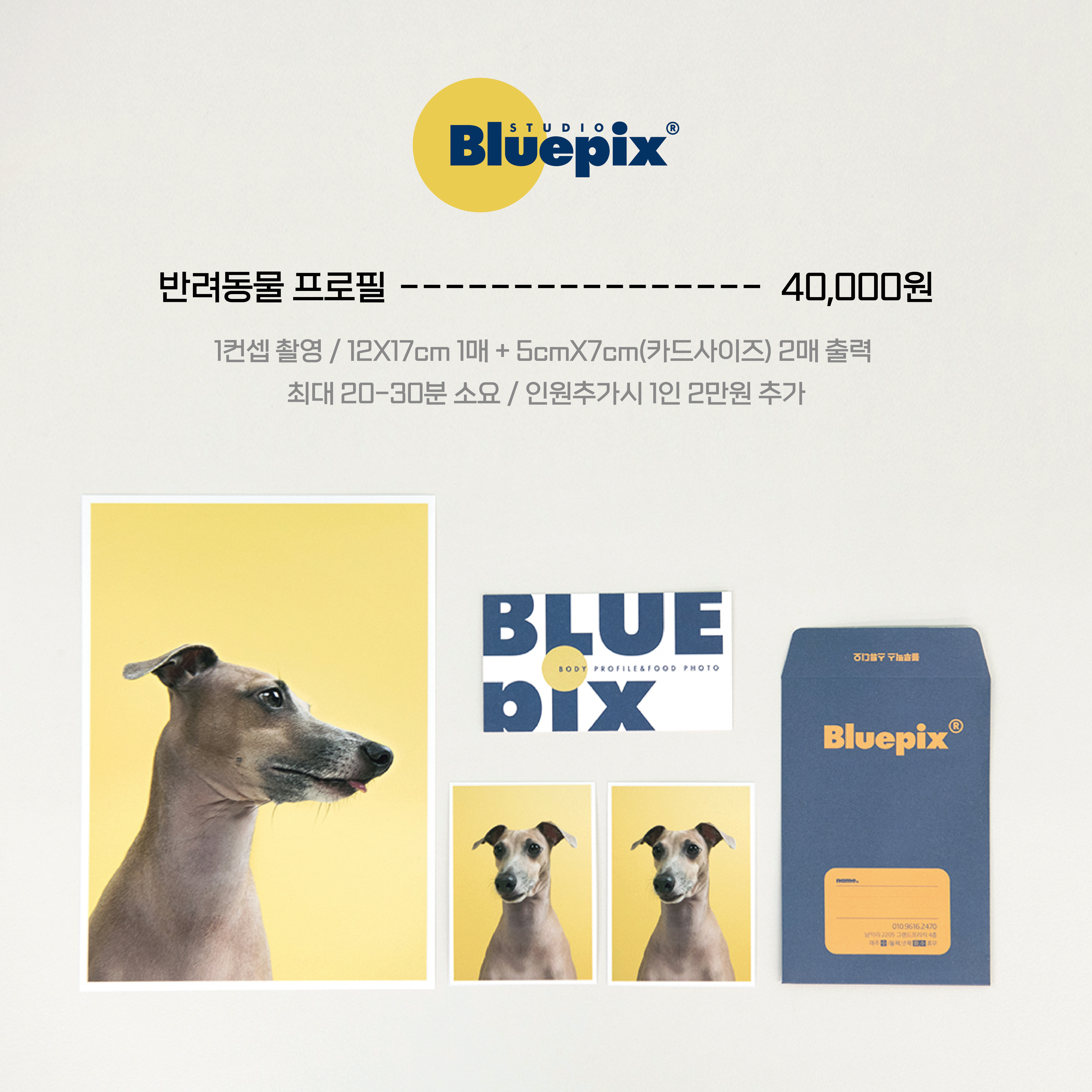블루픽스스튜디오