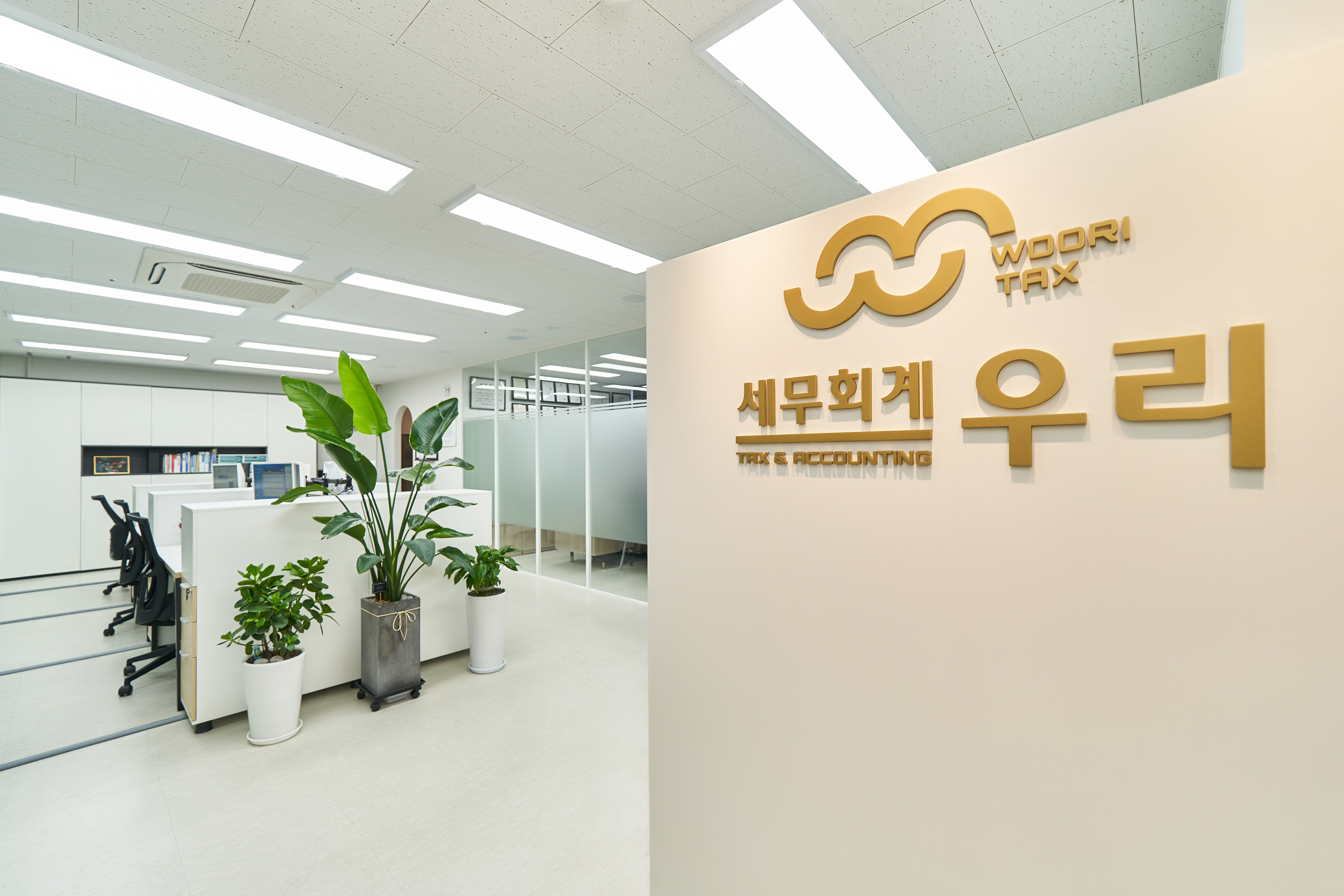 세무회계 우리