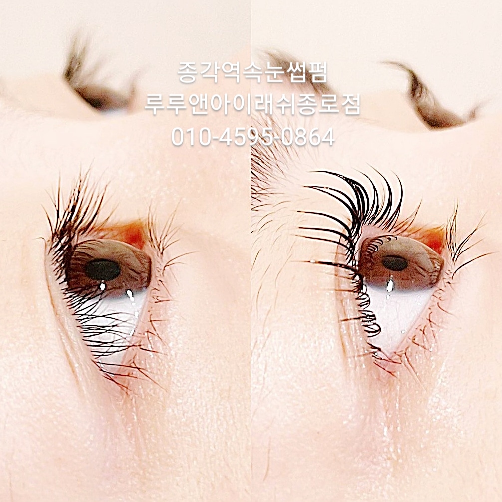 루루앤아이래쉬 종로점 대표 이미지