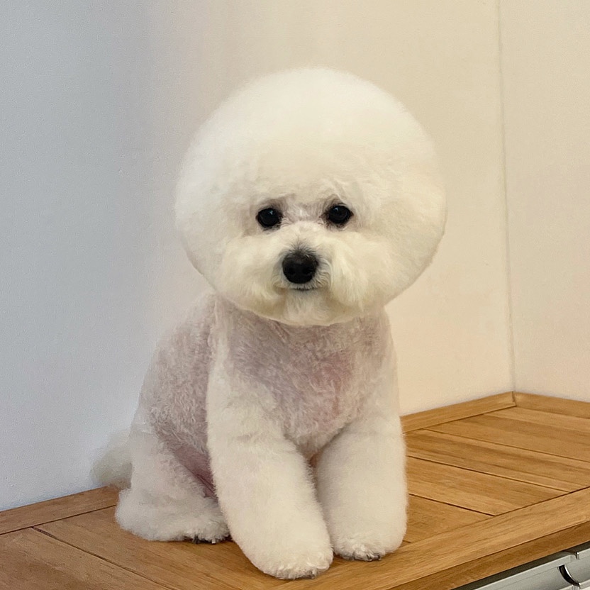 따숩 대표 이미지