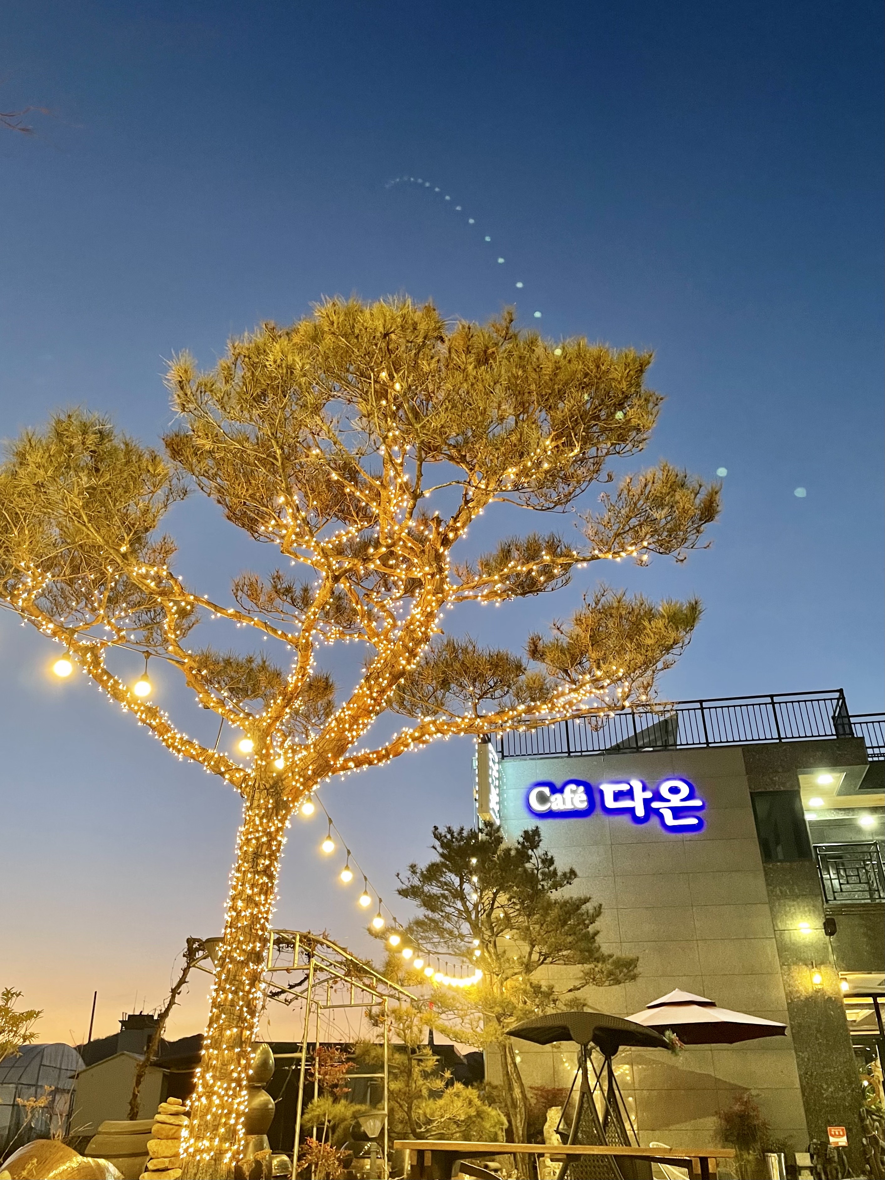 카페 다온