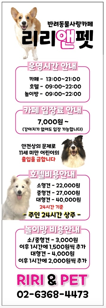 리리앤펫 대표 이미지