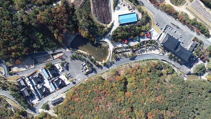 청화