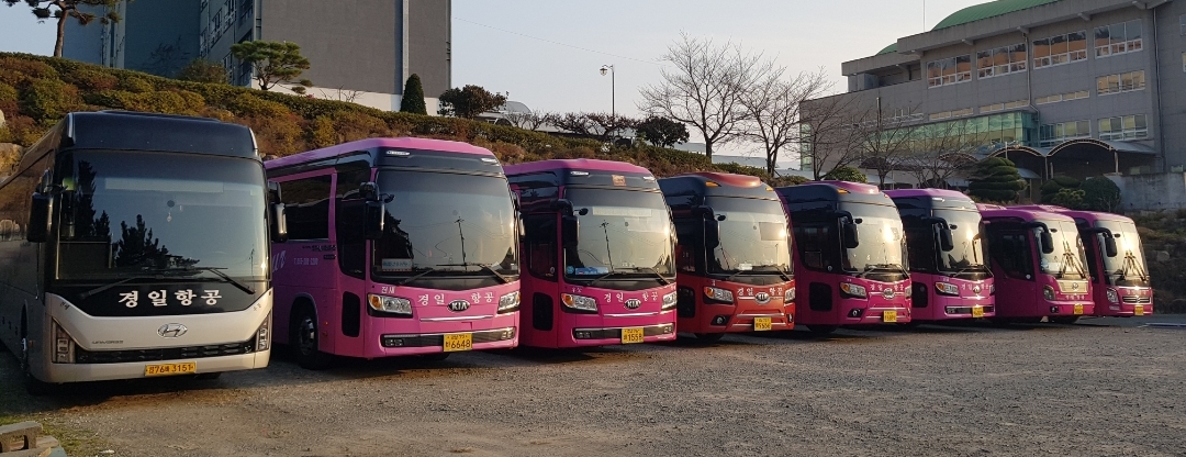 경일항공여행사