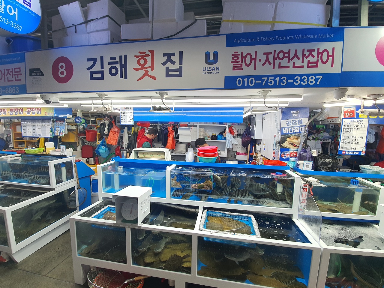 김해횟집