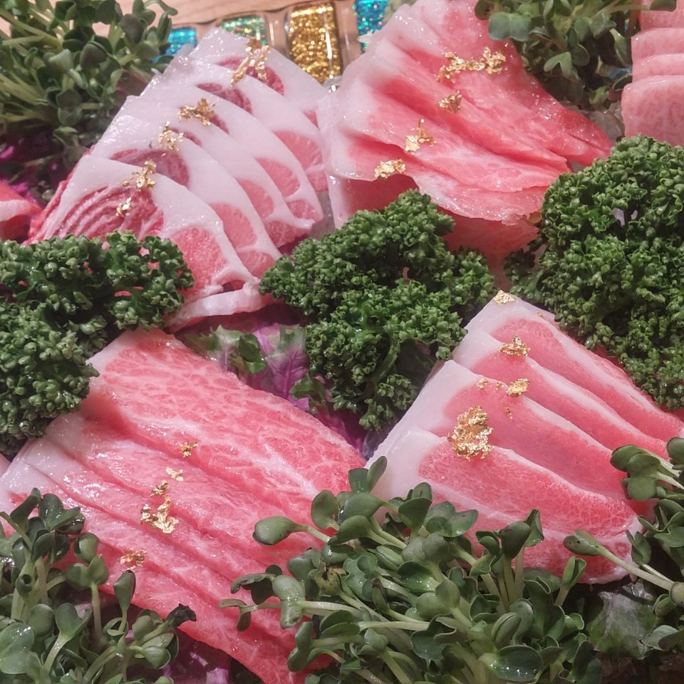 참치현