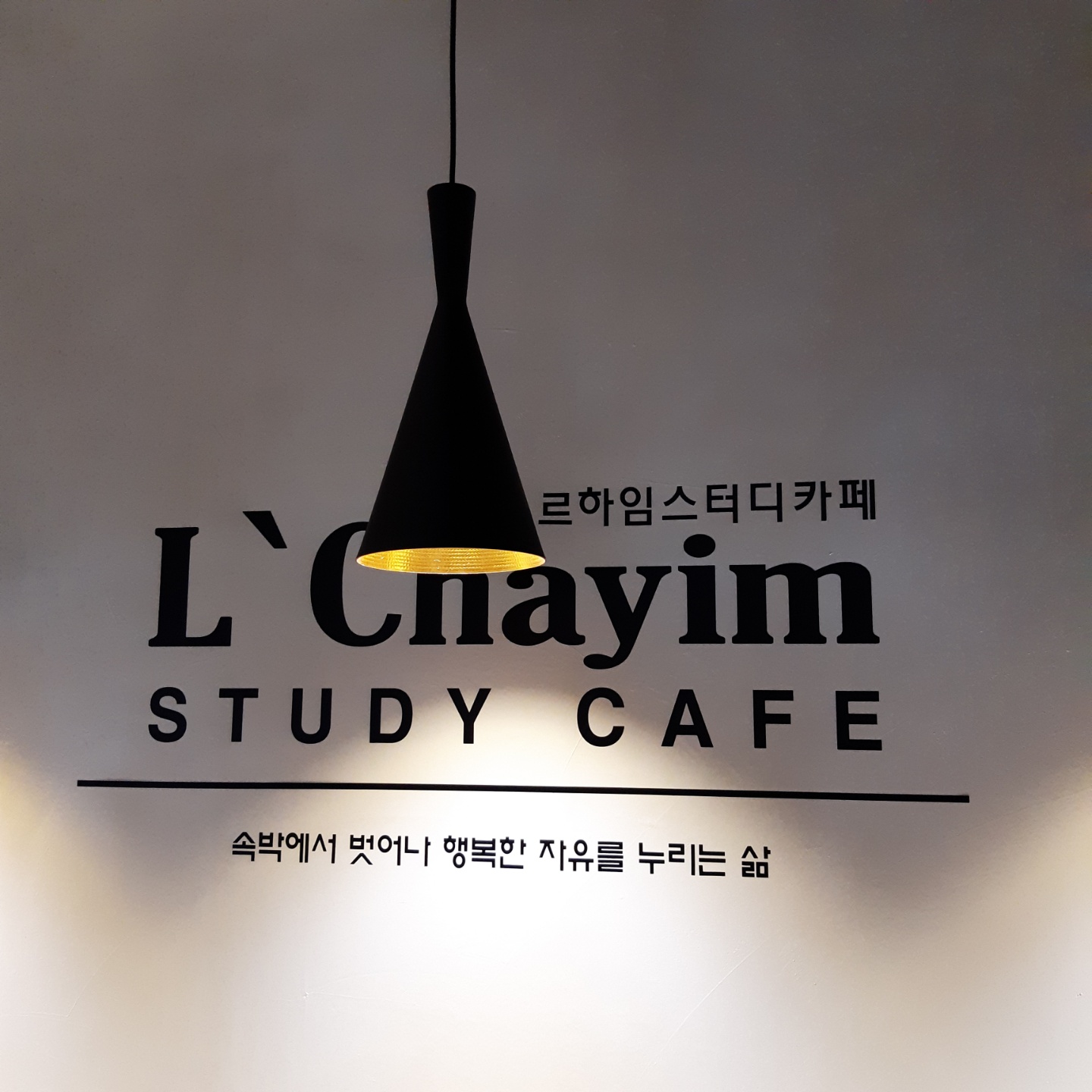 업체사진