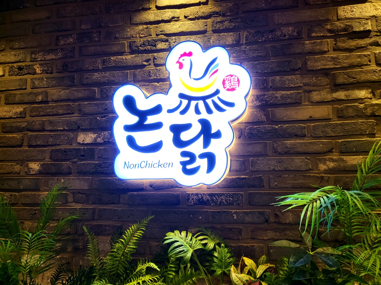 논닭숯불닭갈비 송도직영점