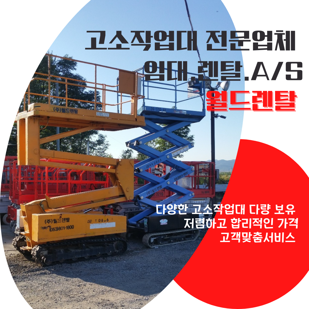 월드렌탈