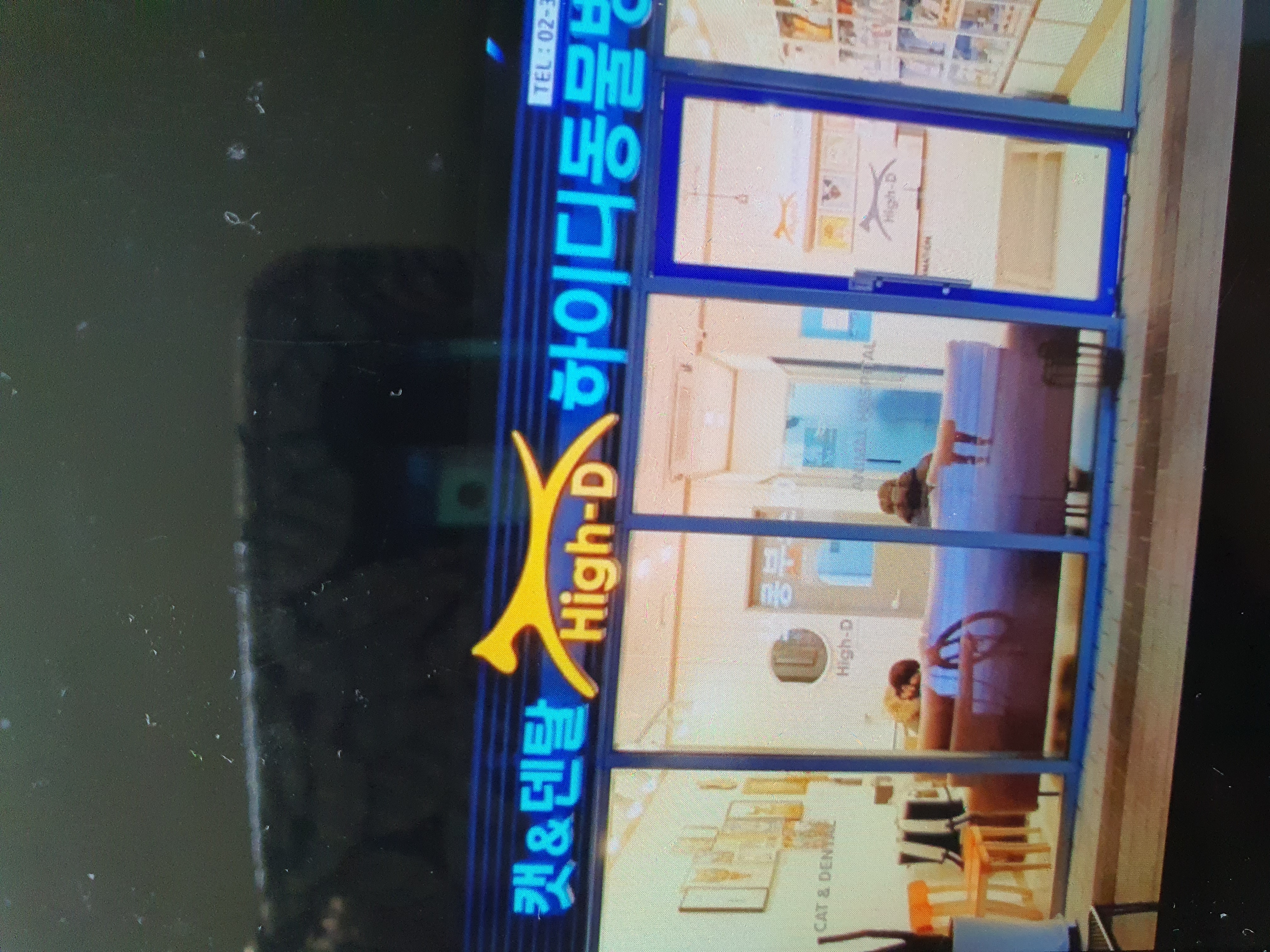 캣&덴탈 하이디 동물병원 대표 이미지