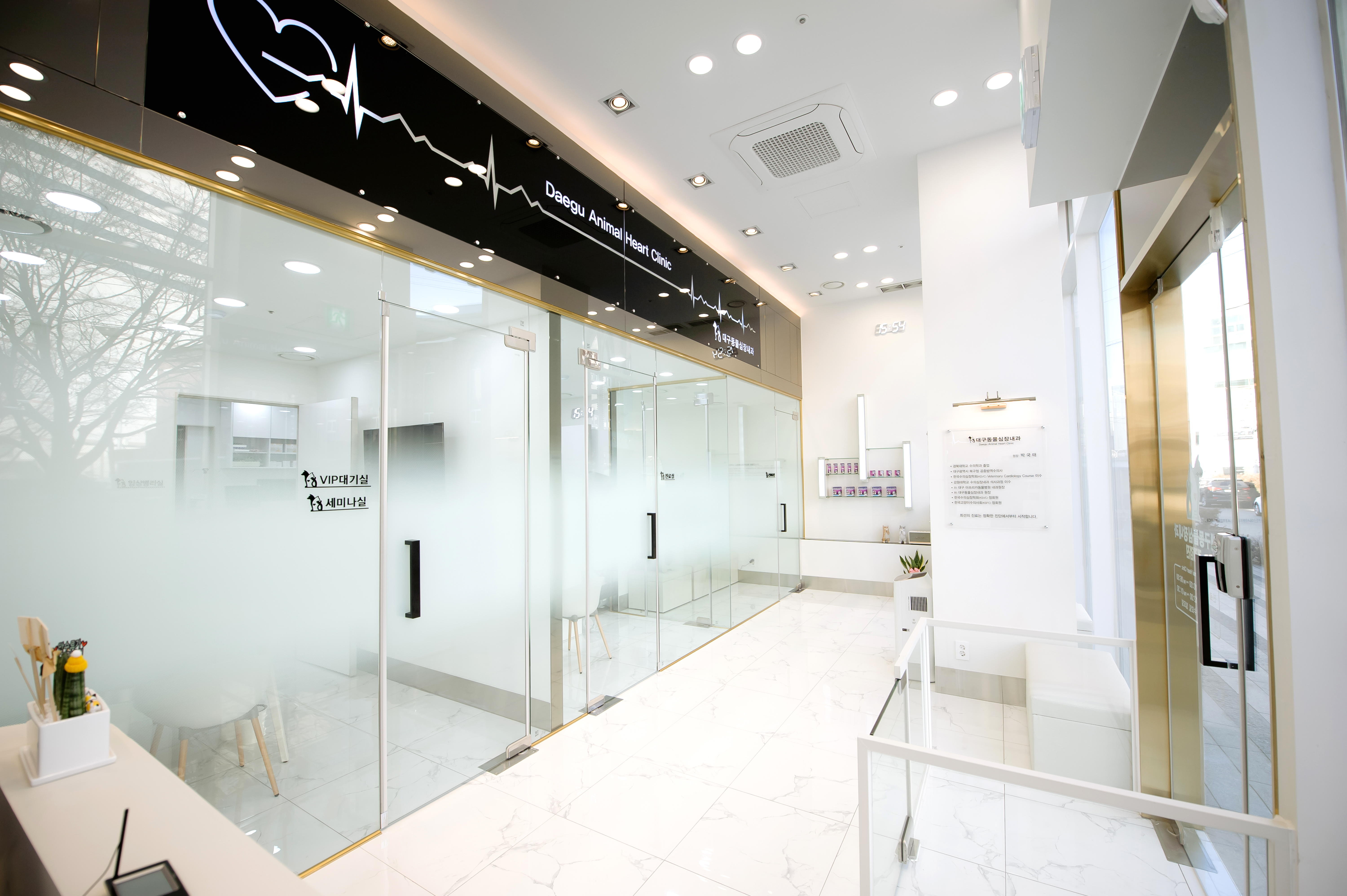 대구동물심장내과 대표 이미지