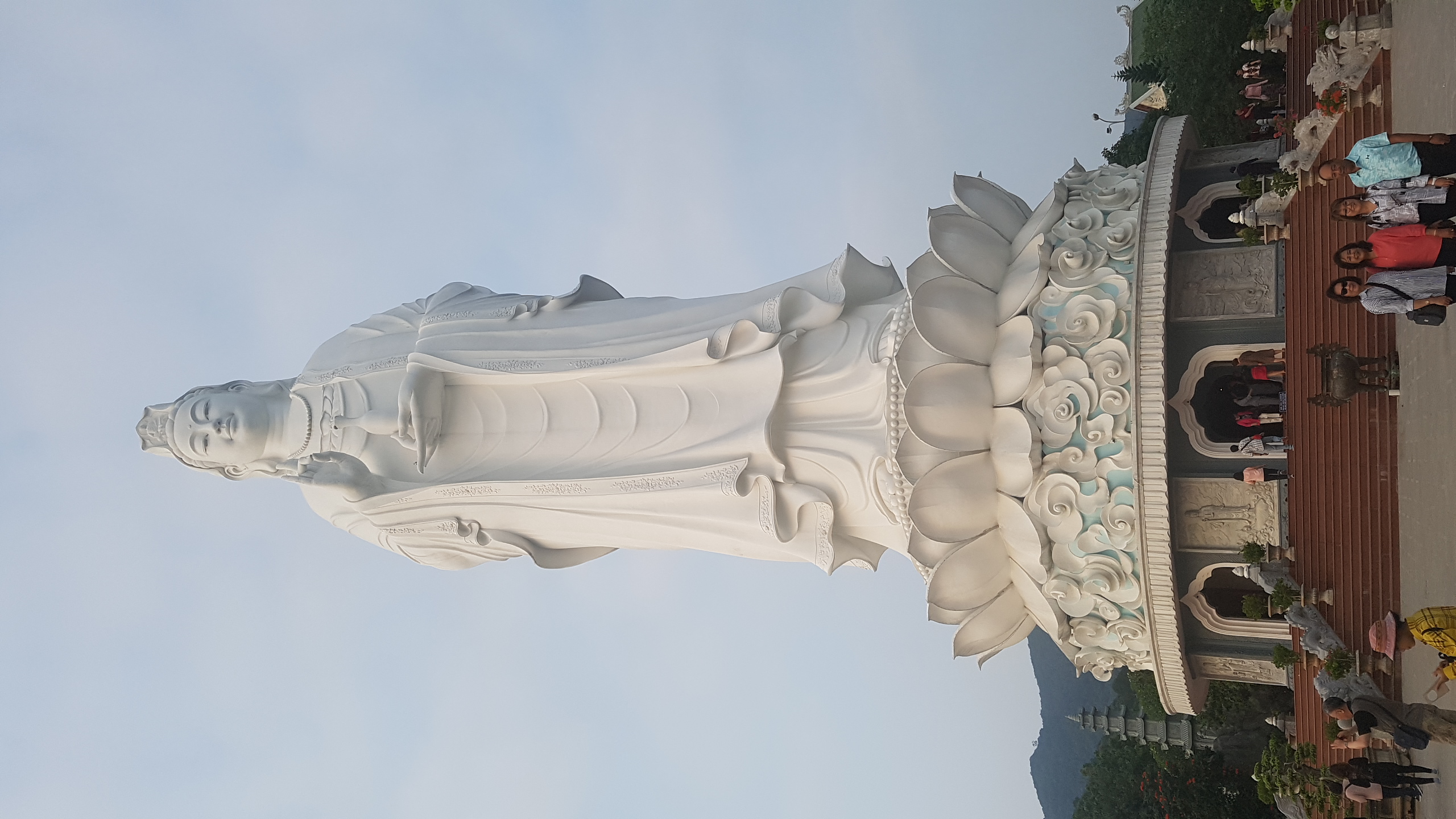 합자회사 청풍호여행사