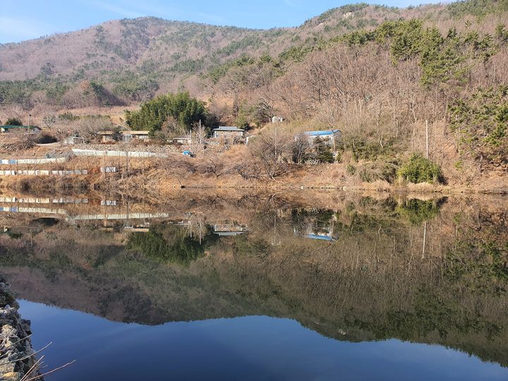 법동사