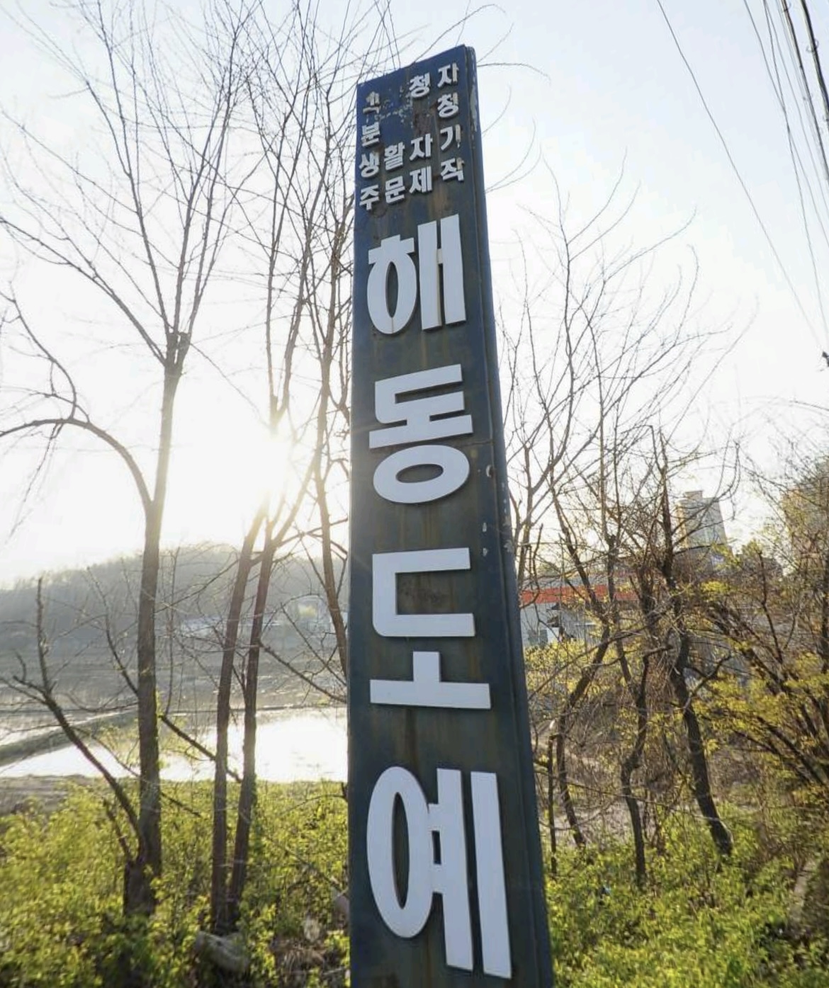 해동도예