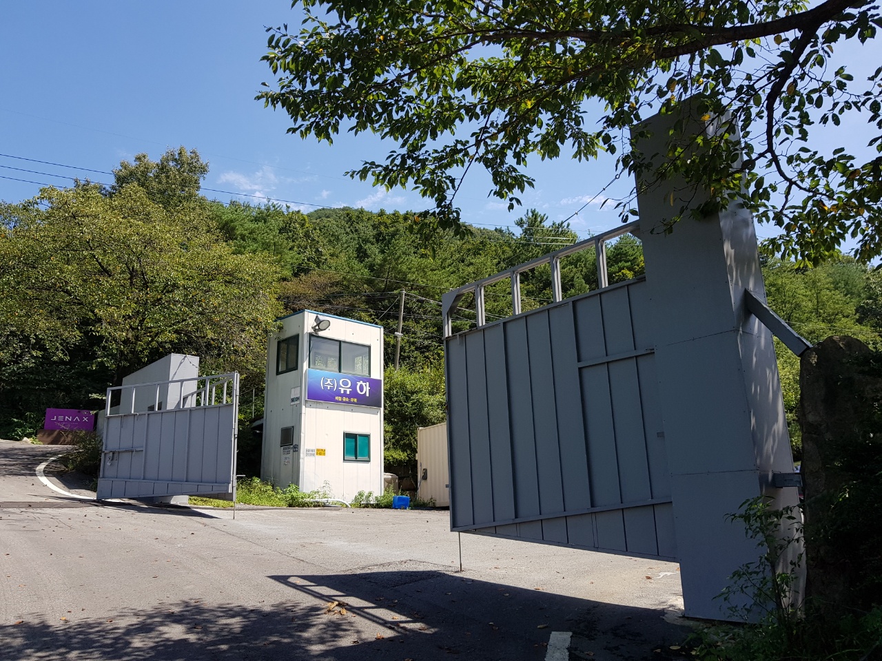 유하 대표 이미지