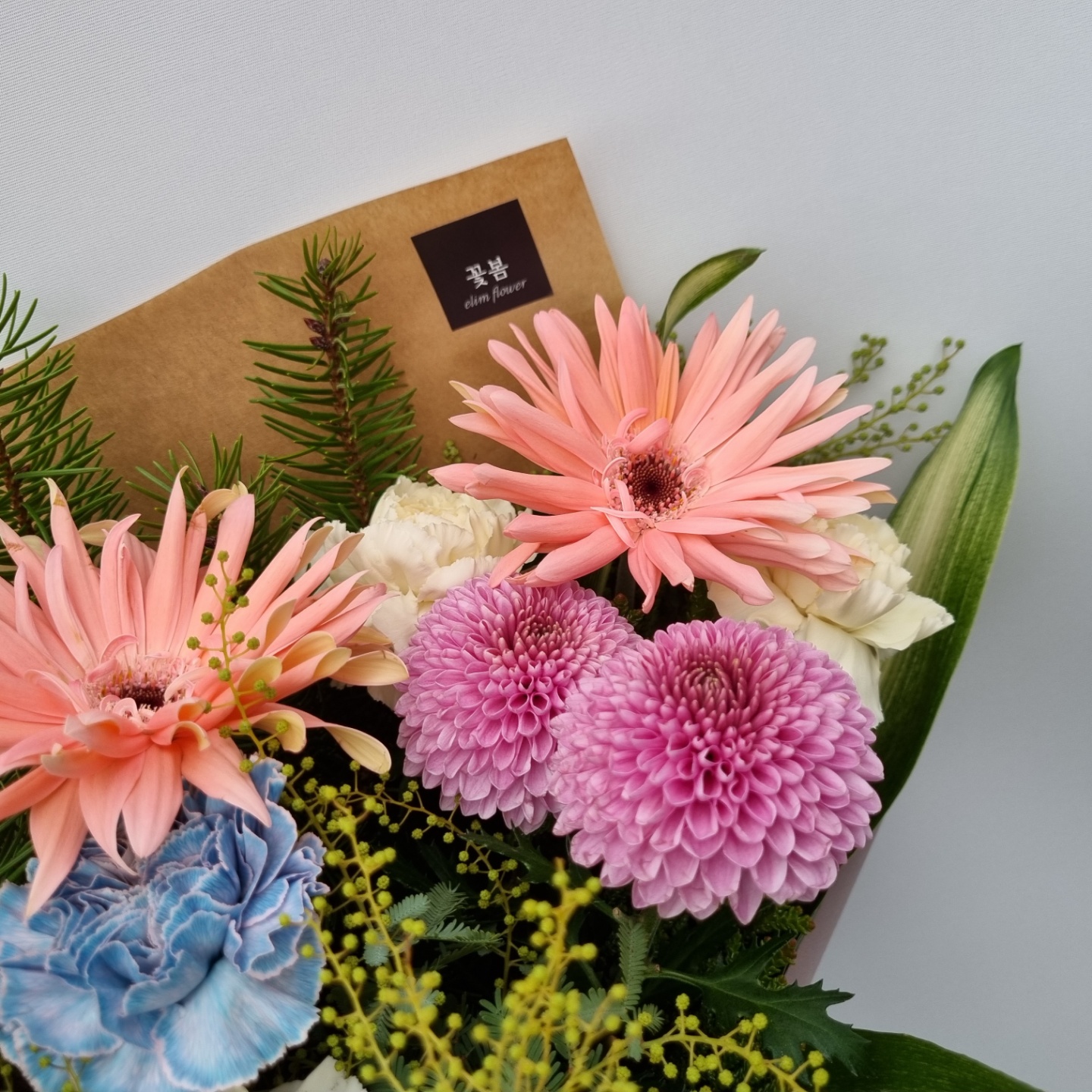 꽃봄 대표 이미지