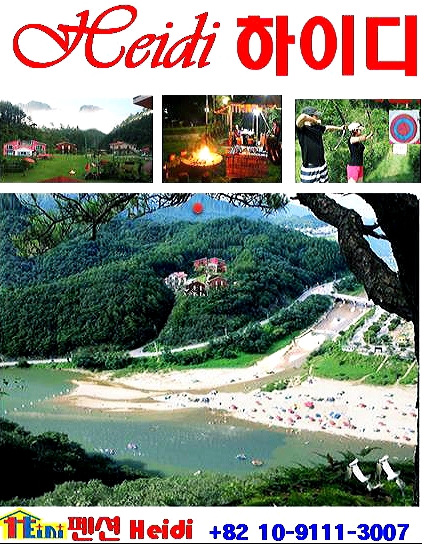 하이디코리아