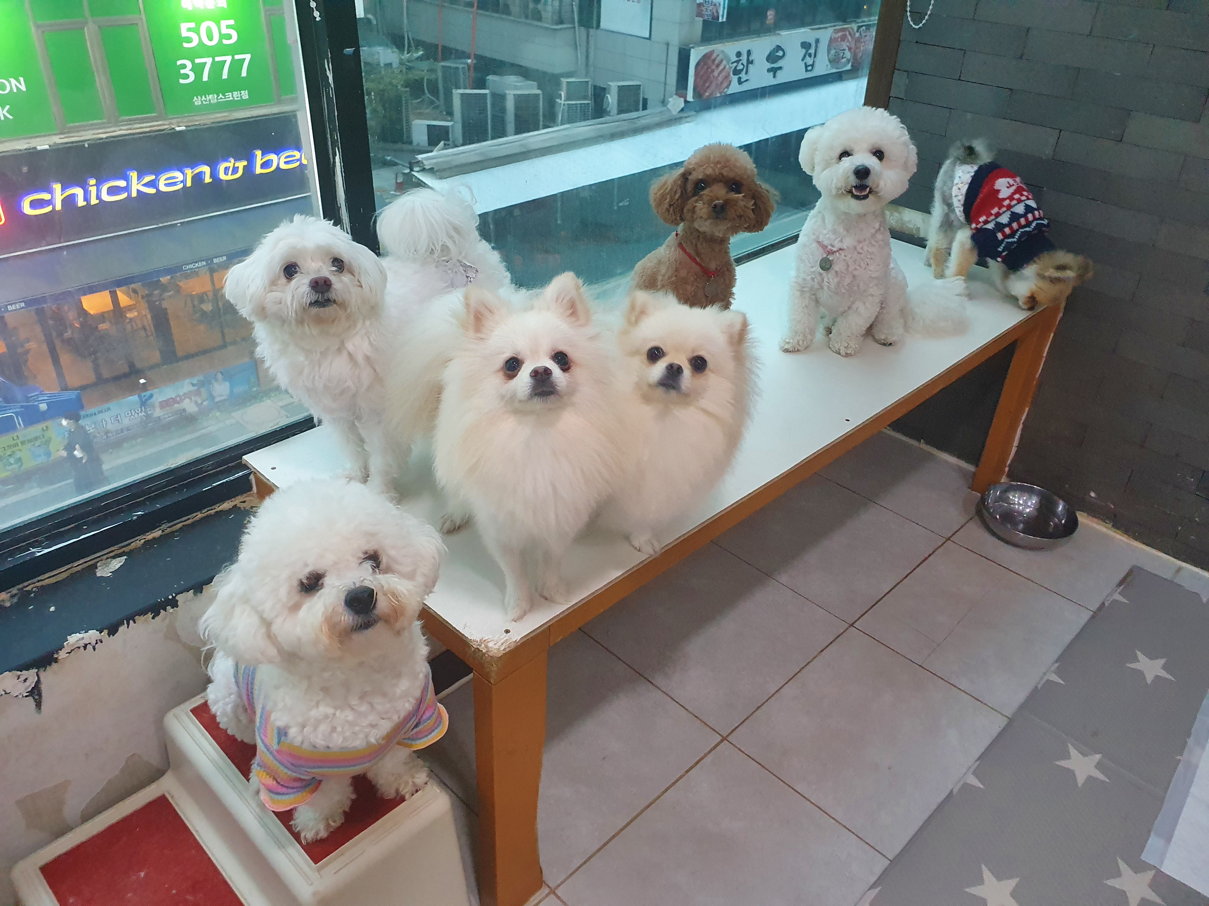 주변 가볼만한 곳