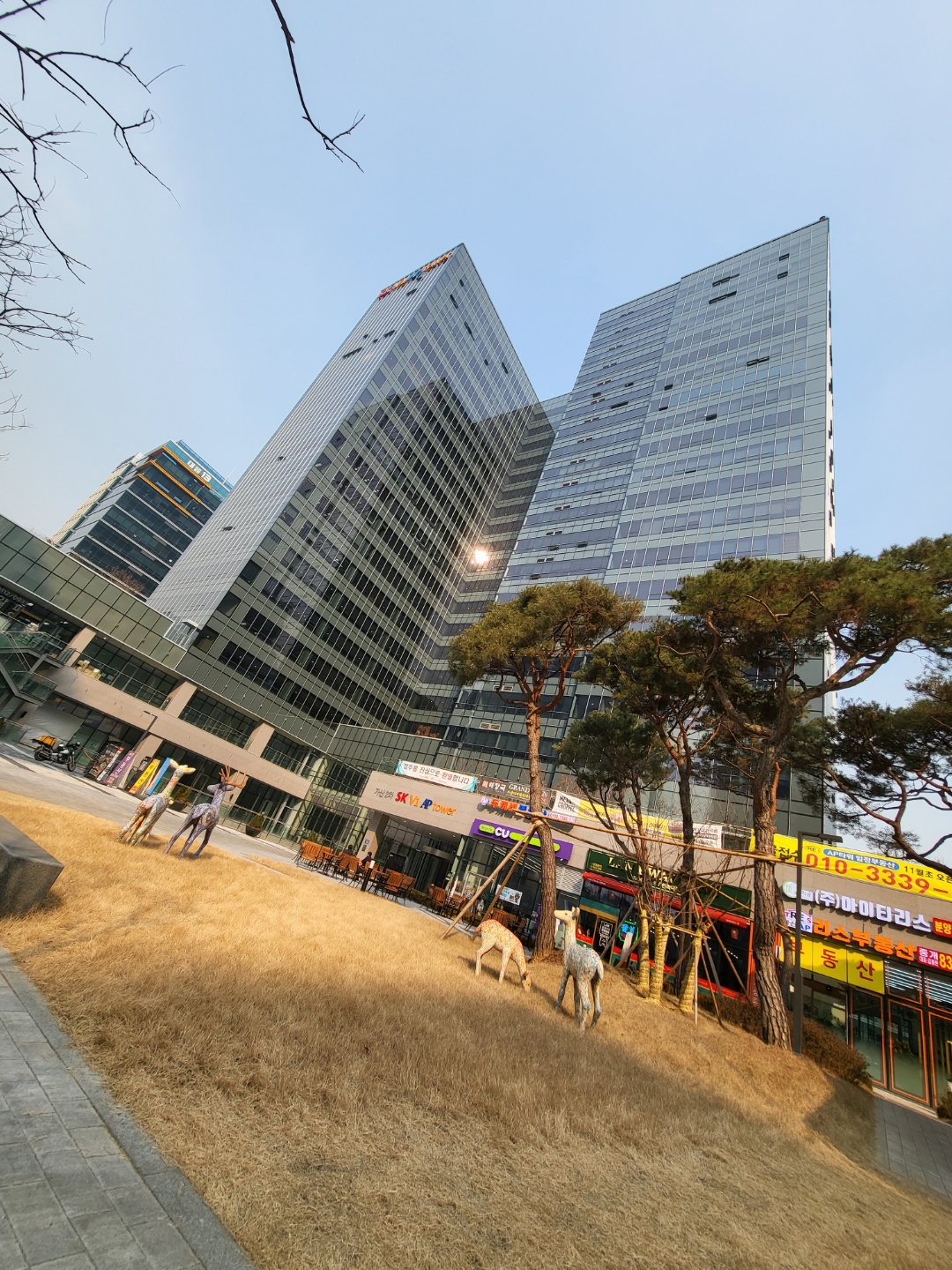 아이티리스