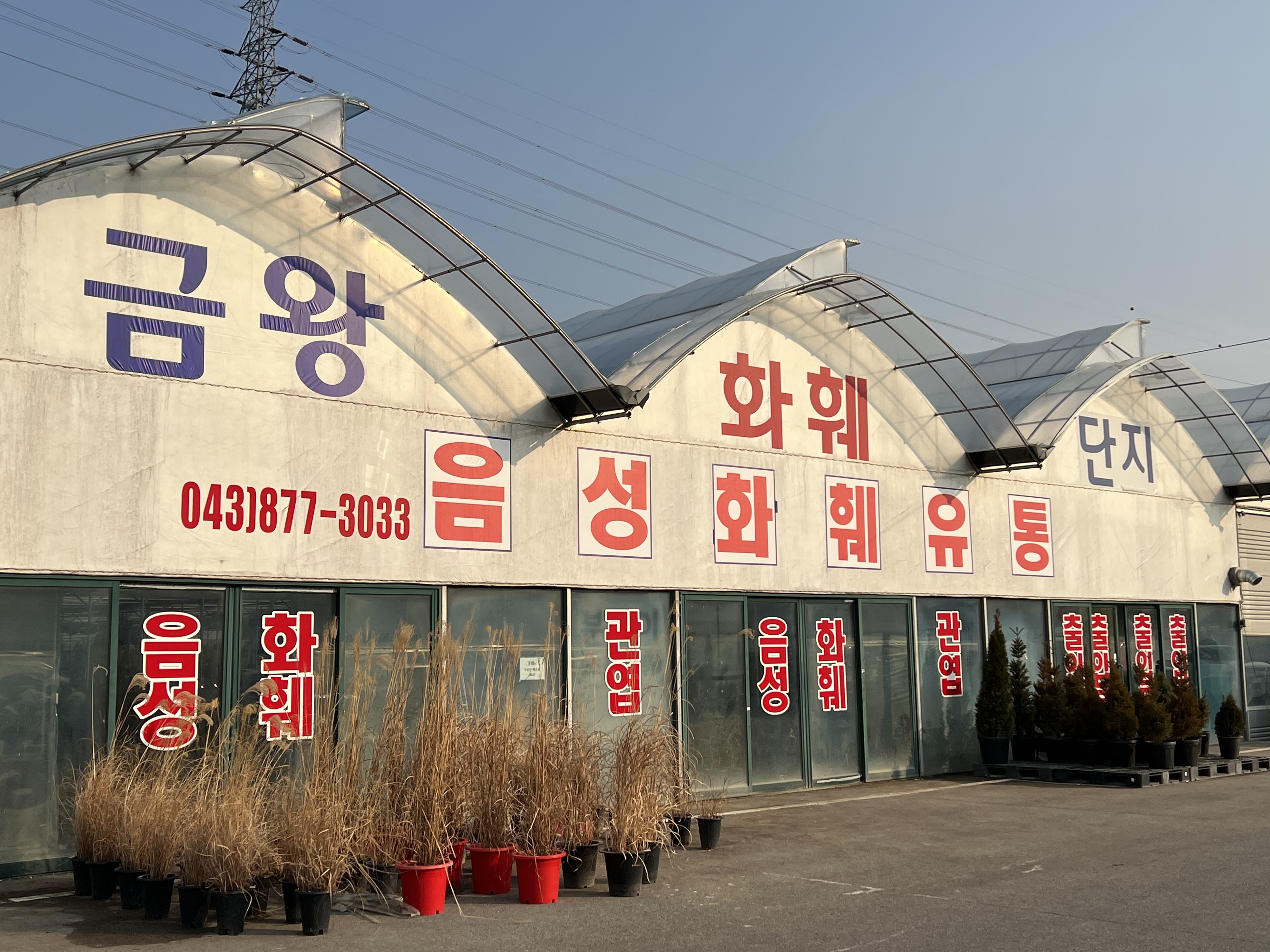 음성화훼유통