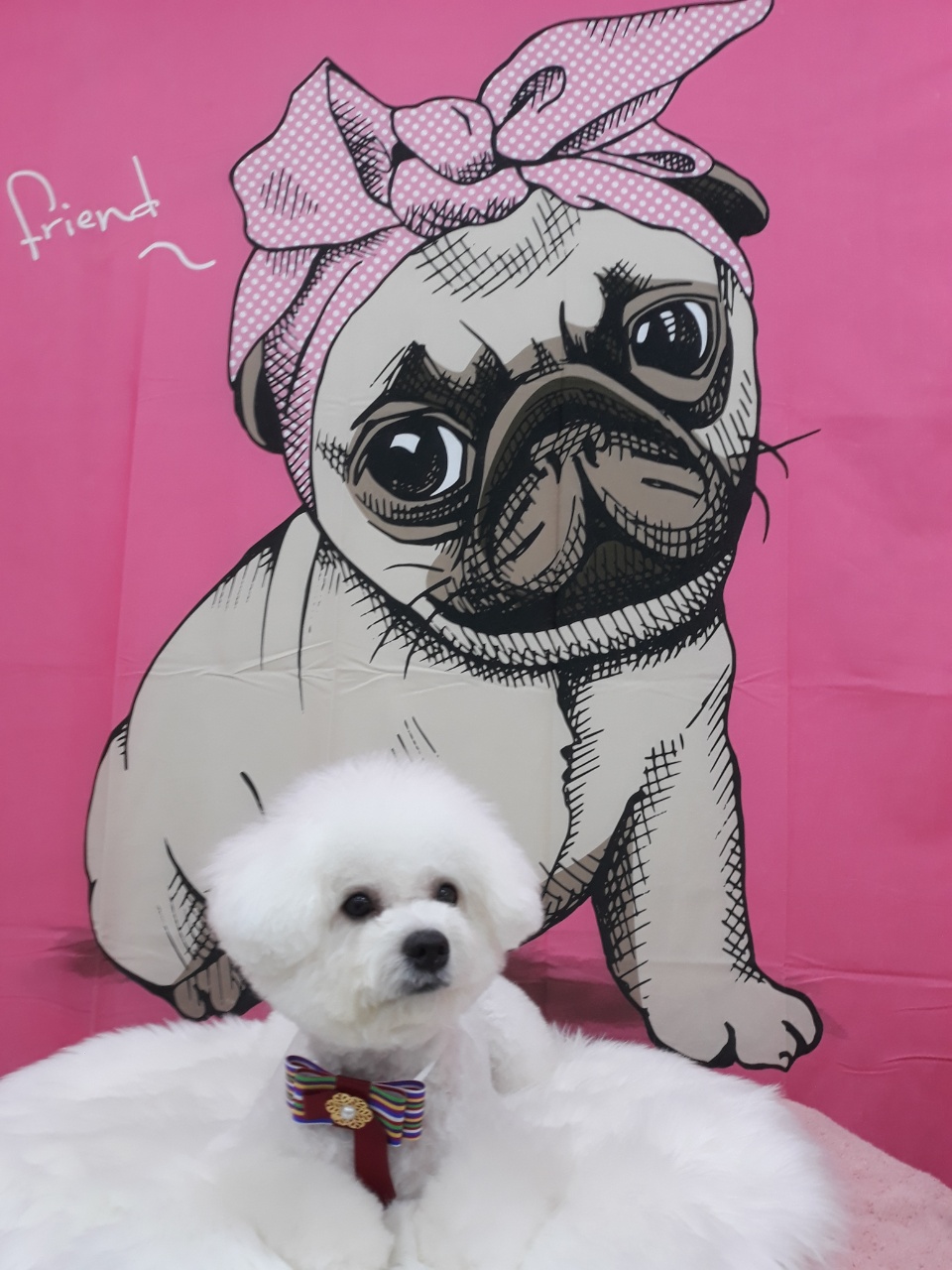 루키네 대표 이미지