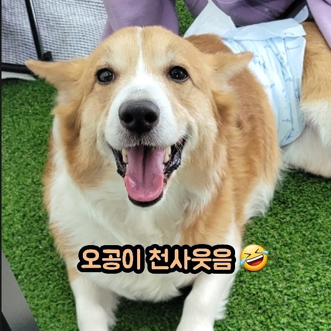 한시십일분 2