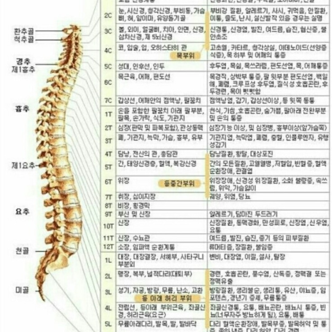 진해마사지 진약손 전신관리에스테틱