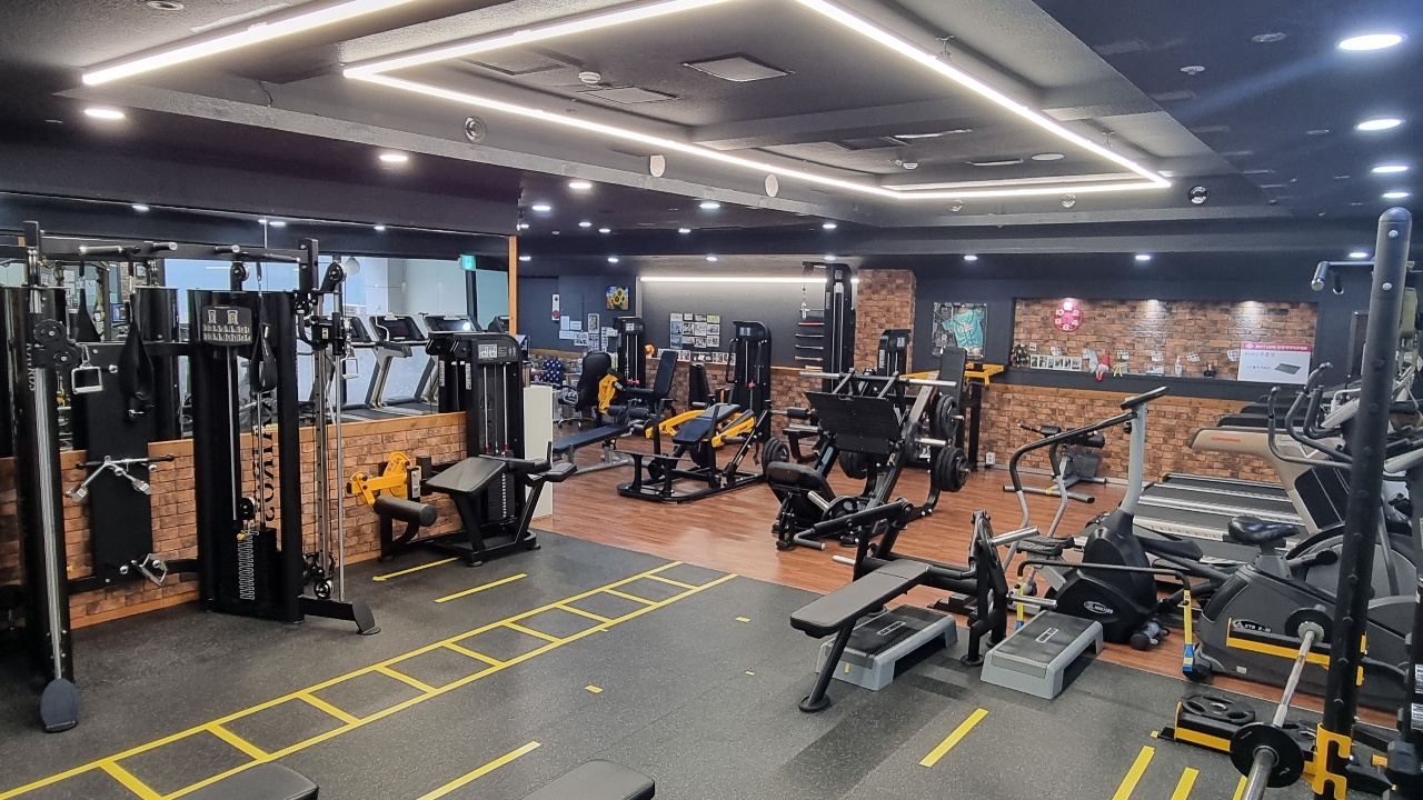 유코치의슬림해짐 대표 이미지