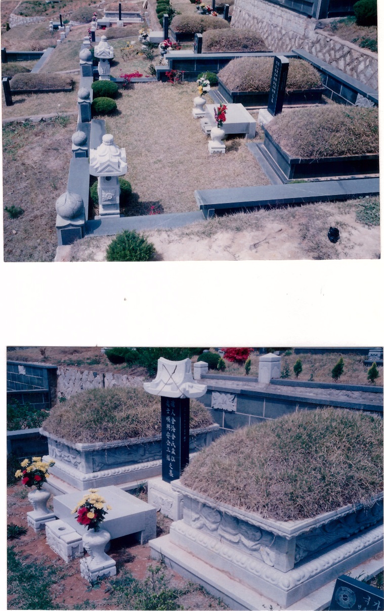 강서특수여객