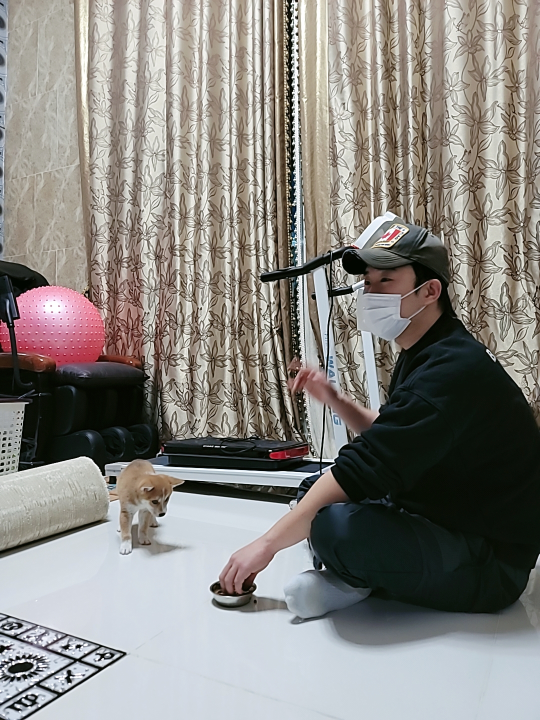 동반 강아지방문훈련,애견훈련소 2