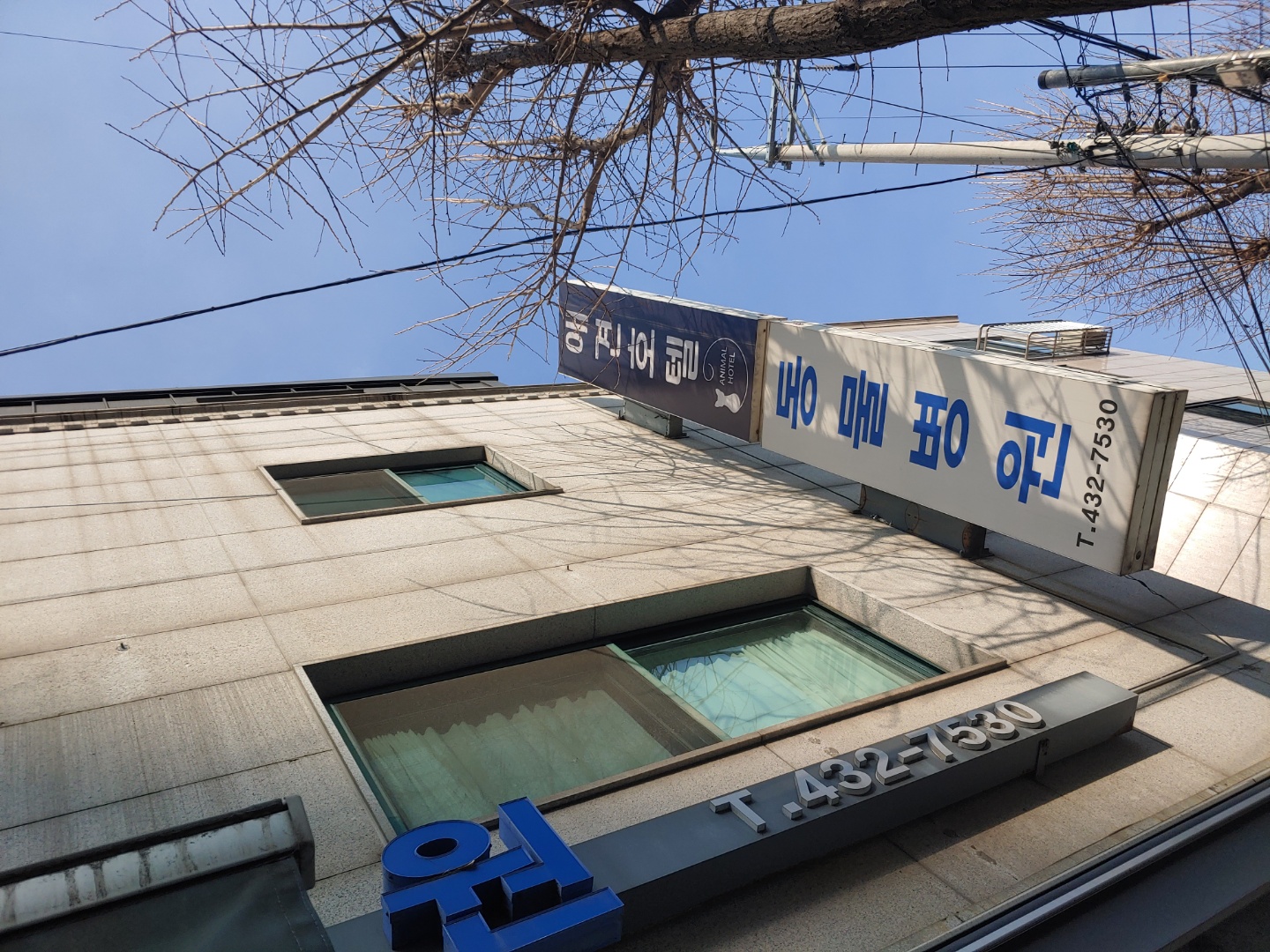 진서동물병원 대표 이미지