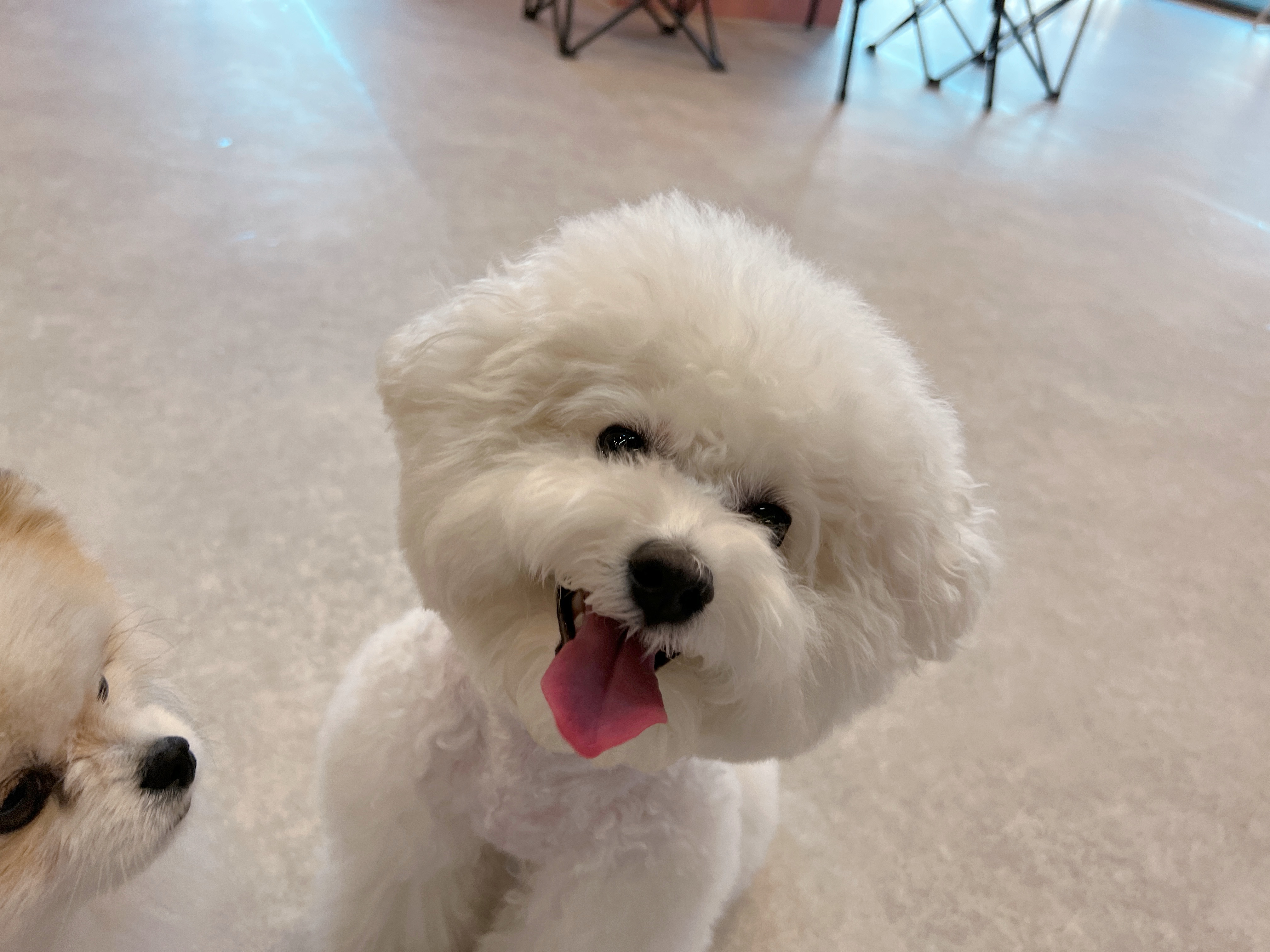 이미지