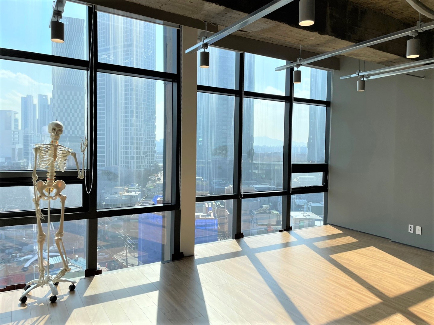 프롬더바디 대표 이미지