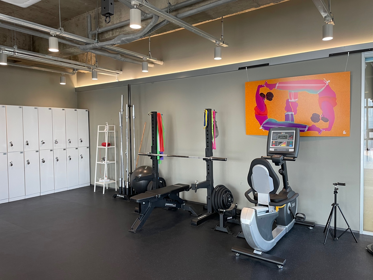 프롬더바디 대표 이미지